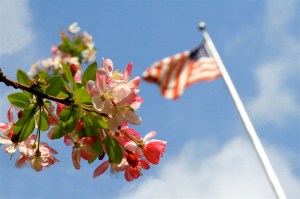 463569799_6208b69d09_b